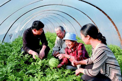 黑料吃瓜网apk普通安装 