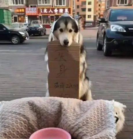 黑料吃瓜网apk普通安装  第3张