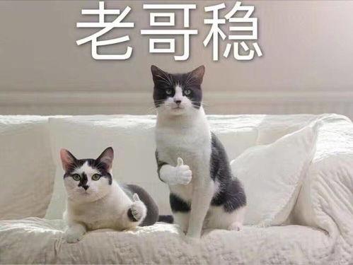 崛起吧众神  第2张