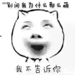 b站视频大全免费观看  第3张